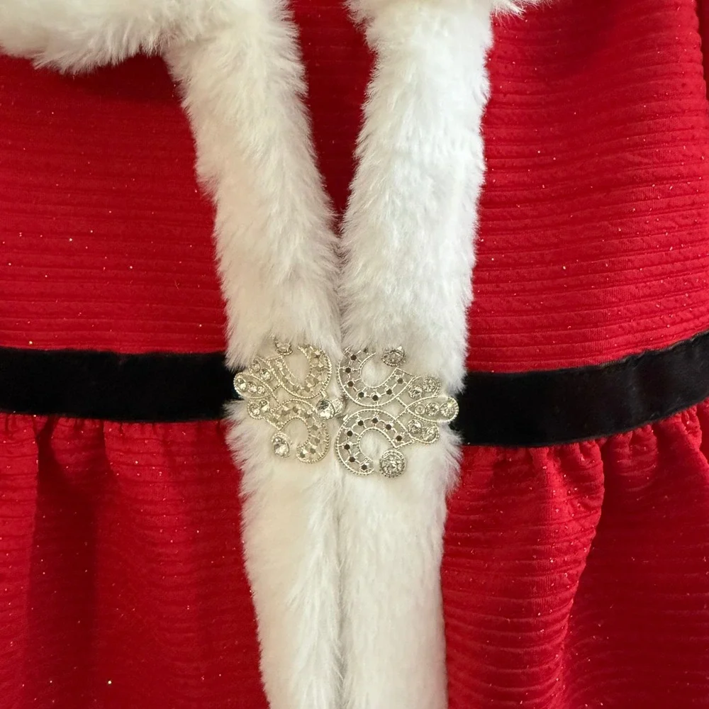 NWT Blueberi Boulevard Dress and Coat Set Toddler Girls 3T Fur Holiday Christmas